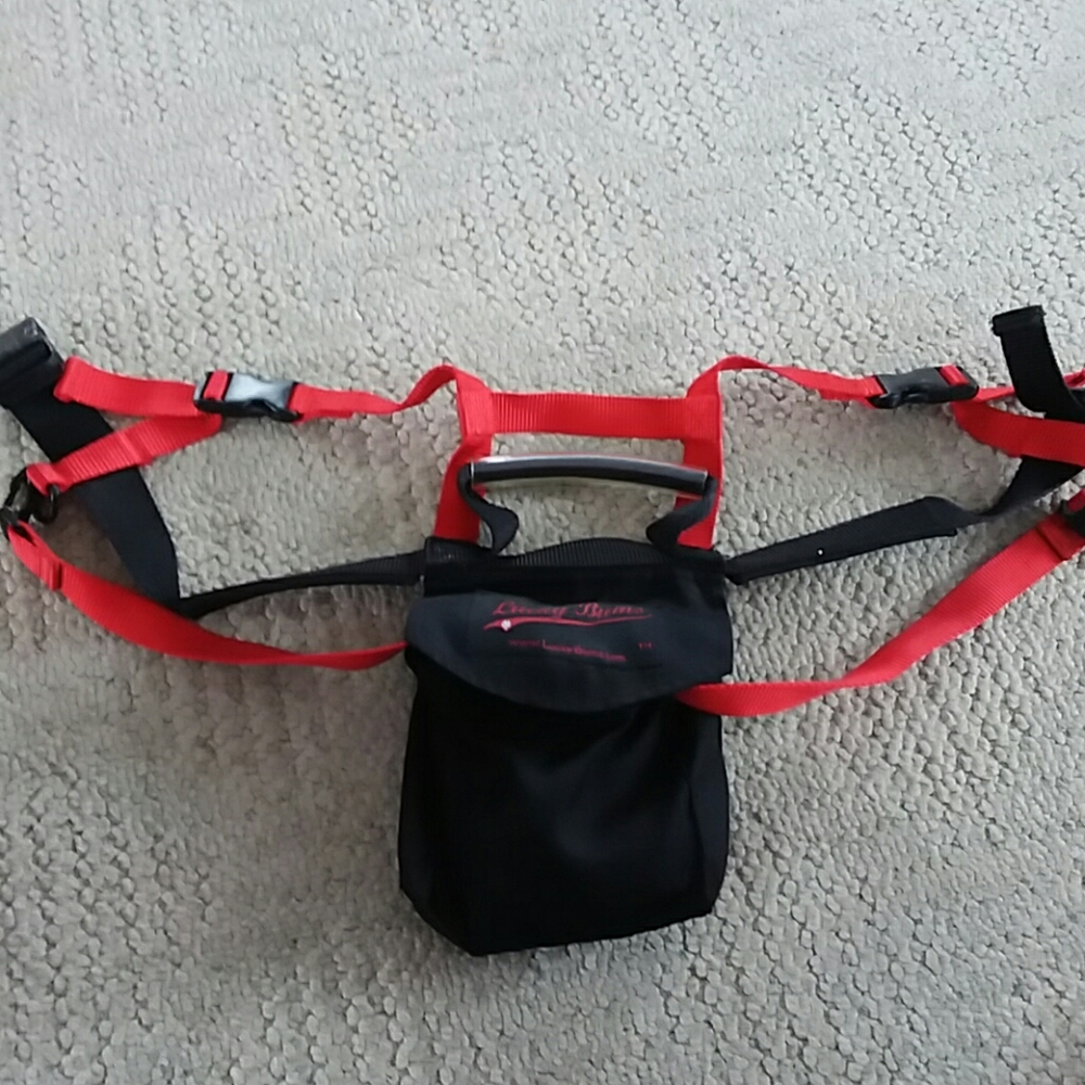 Youth Ski Harness